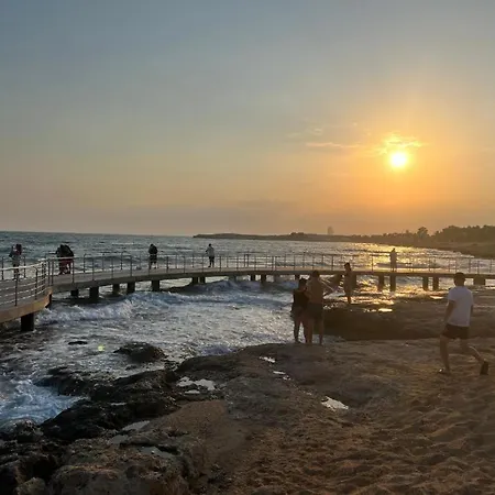 Freij & (adults Only) 4* Ajía Nápa