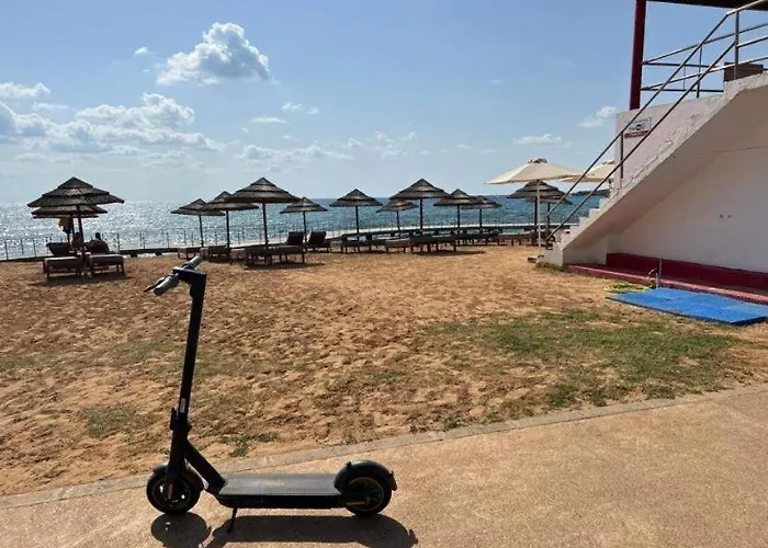 Freij & (adults Only)