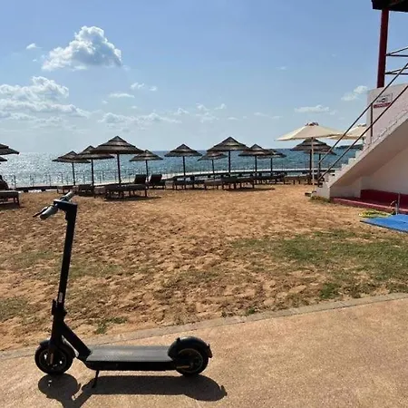 Freij & (adults Only)